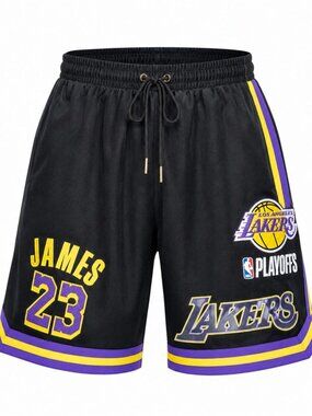 Pro Standard Los Angeles Lakers James 23 NBA Playoffs Shorts M